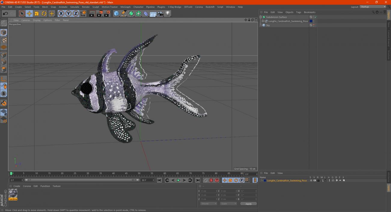 Longfin Cardinalfish Swimming Pose 3D model