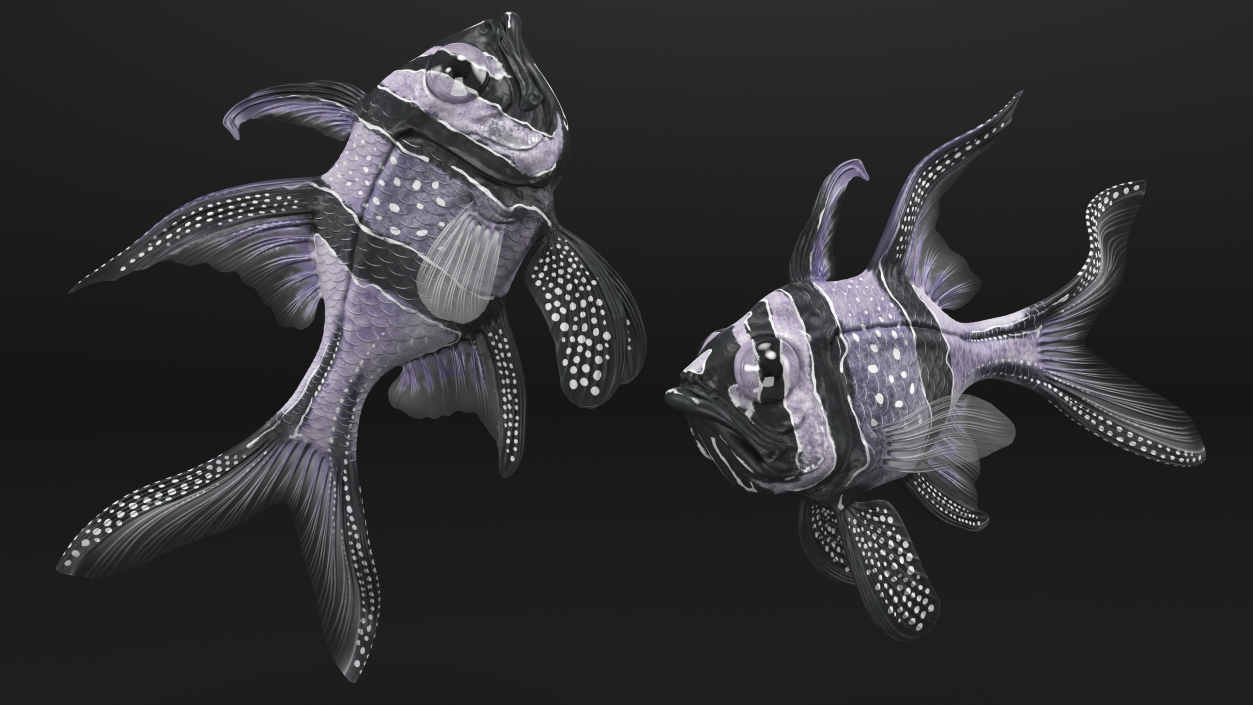 Longfin Cardinalfish Swimming Pose 3D model