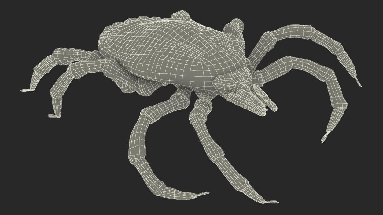 3D Tick Crawling Pose model