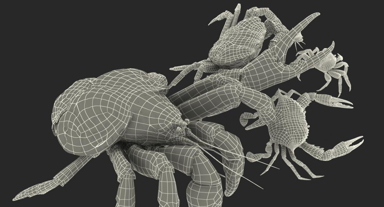 3D Crabs Collection 2 model