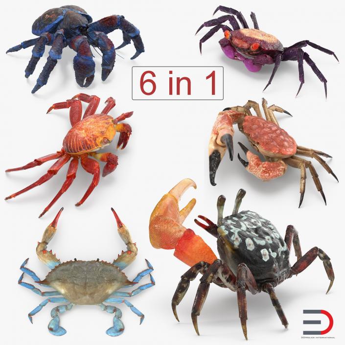 3D Crabs Collection 2 model