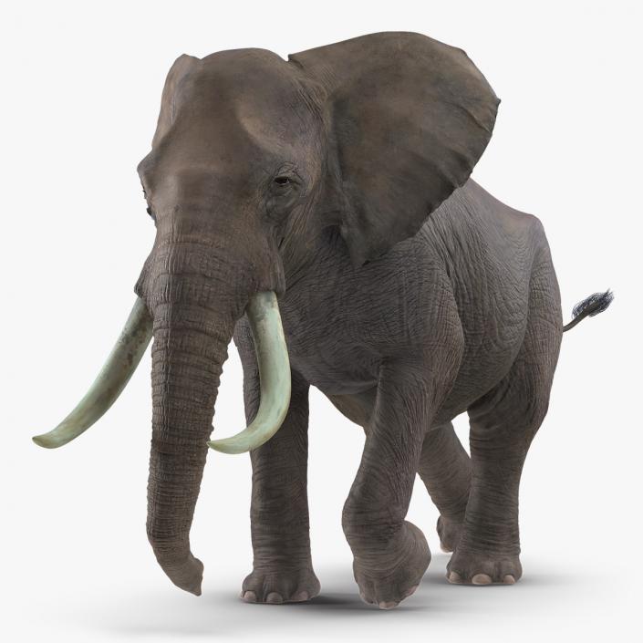 3D Animated Elephant Running Fur Rigged