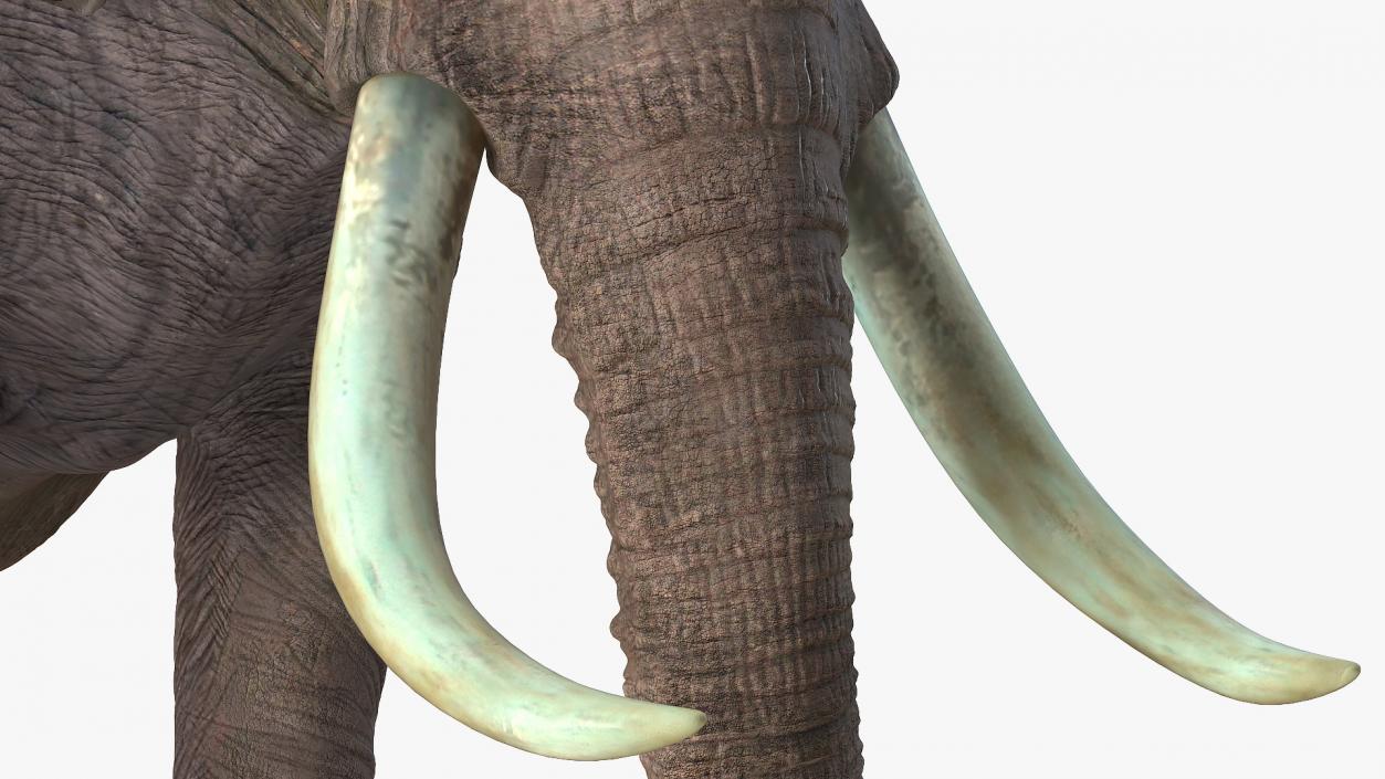 3D Animated Elephant Running Fur Rigged