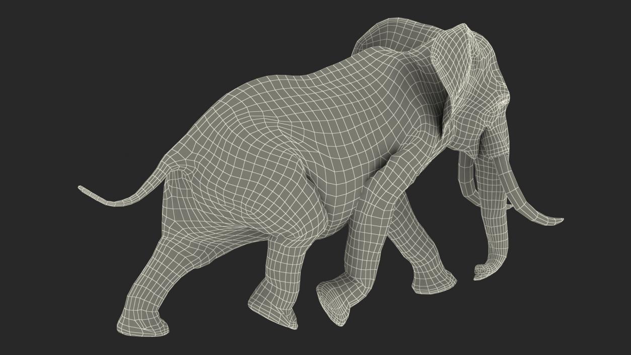 3D Animated Elephant Running Fur Rigged