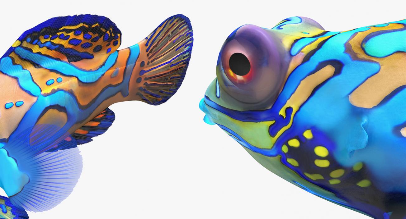 Fishes 3D Models Collection 4 3D model