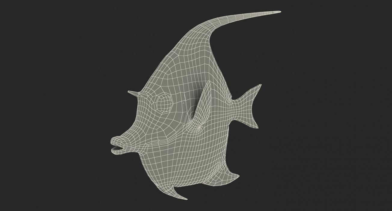 Fishes 3D Models Collection 4 3D model