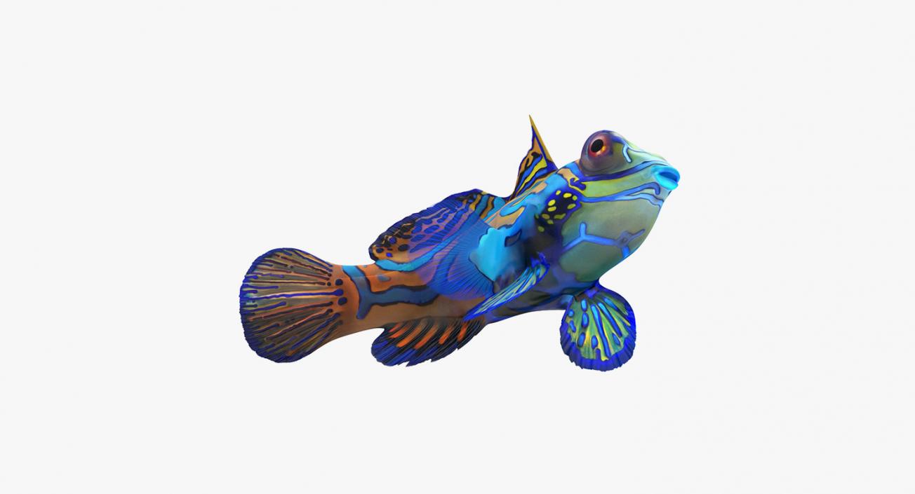 Fishes 3D Models Collection 4 3D model