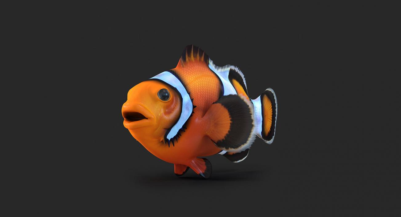 Fishes 3D Models Collection 4 3D model