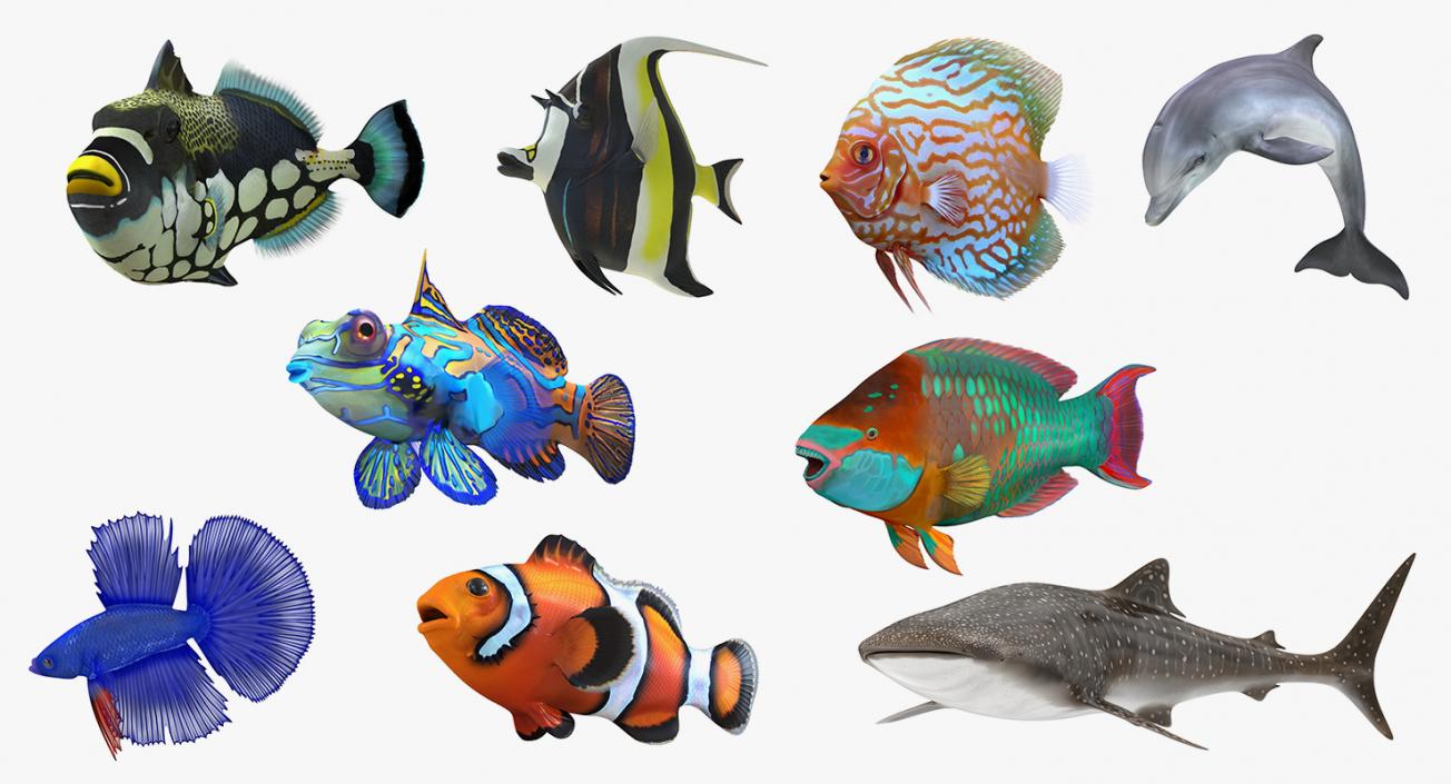 Fishes 3D Models Collection 4 3D model