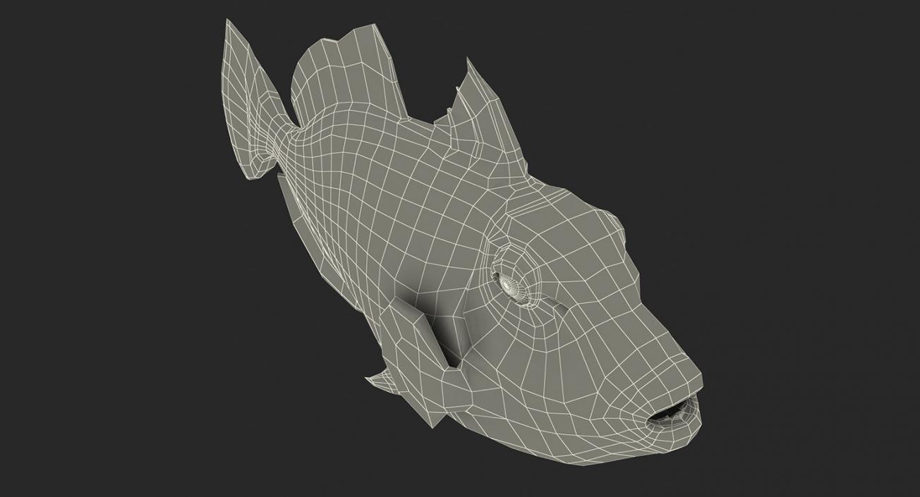 Fishes 3D Models Collection 4 3D model