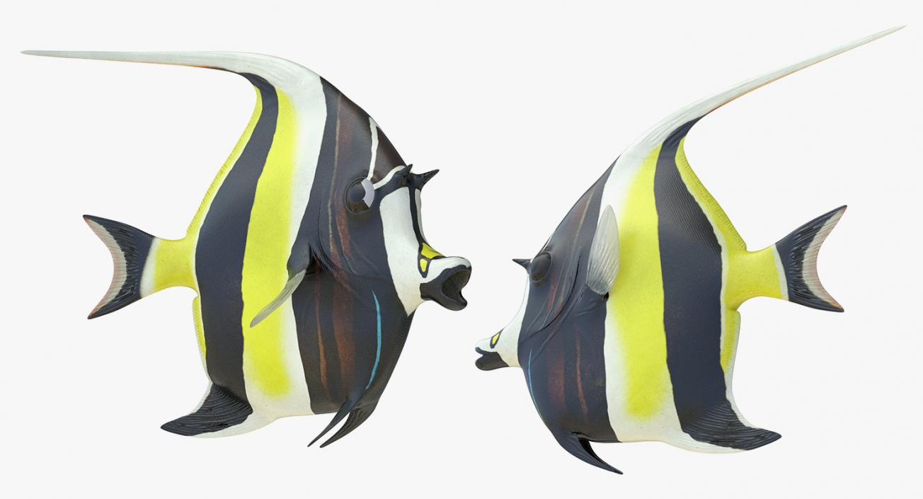 Fishes 3D Models Collection 4 3D model