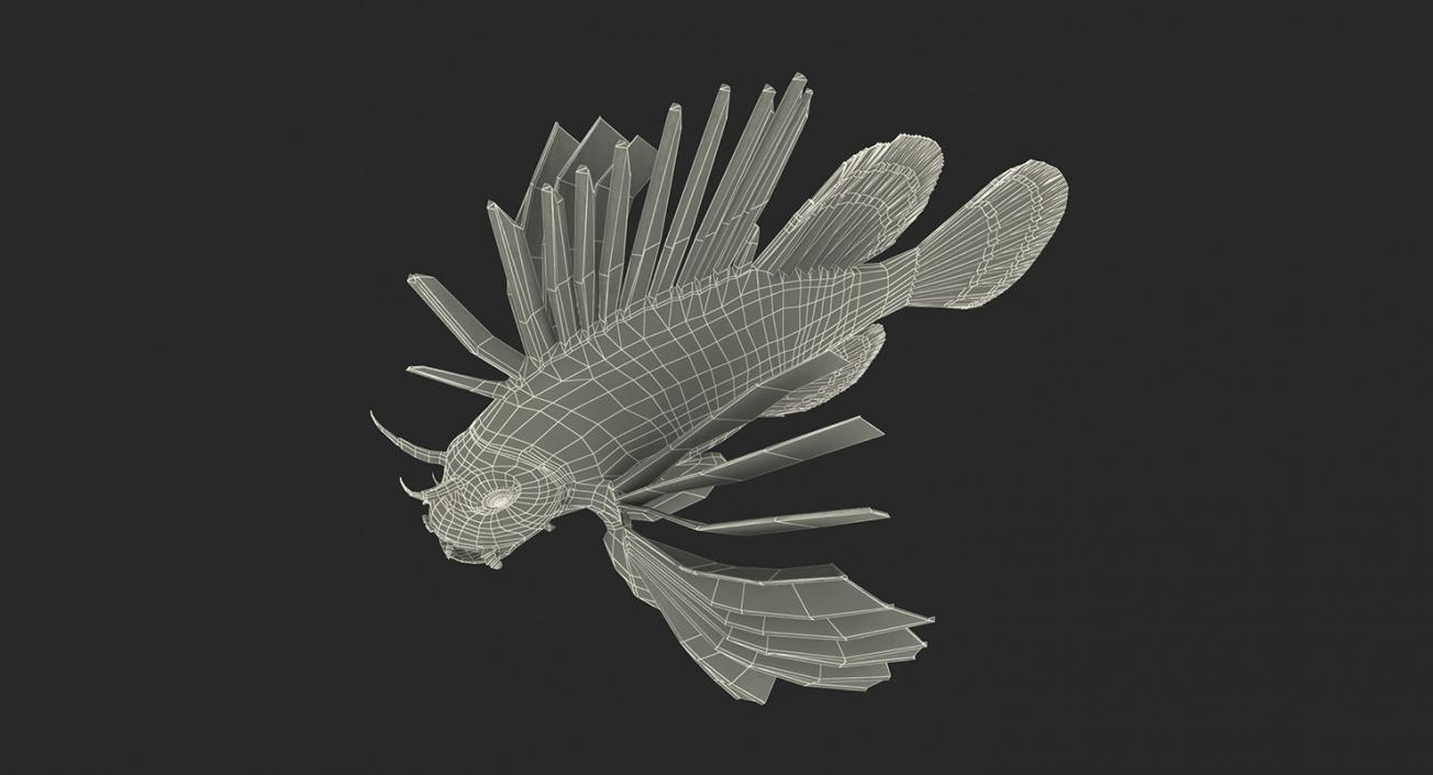 Fishes 3D Models Collection 4 3D model