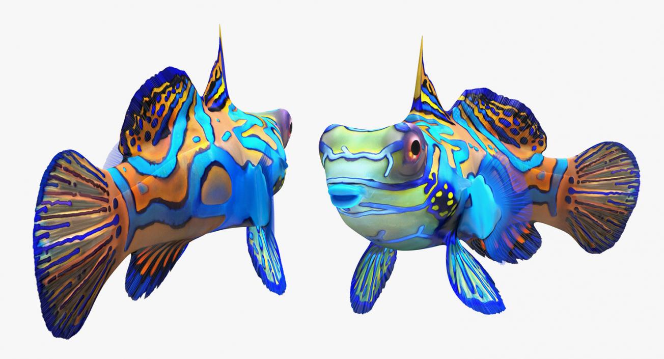 Fishes 3D Models Collection 4 3D model