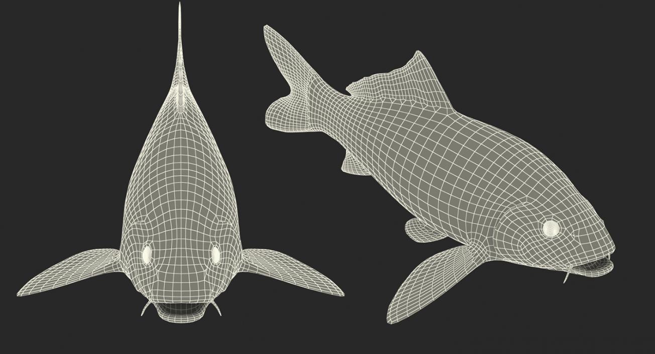 Fishes 3D Models Collection 4 3D model