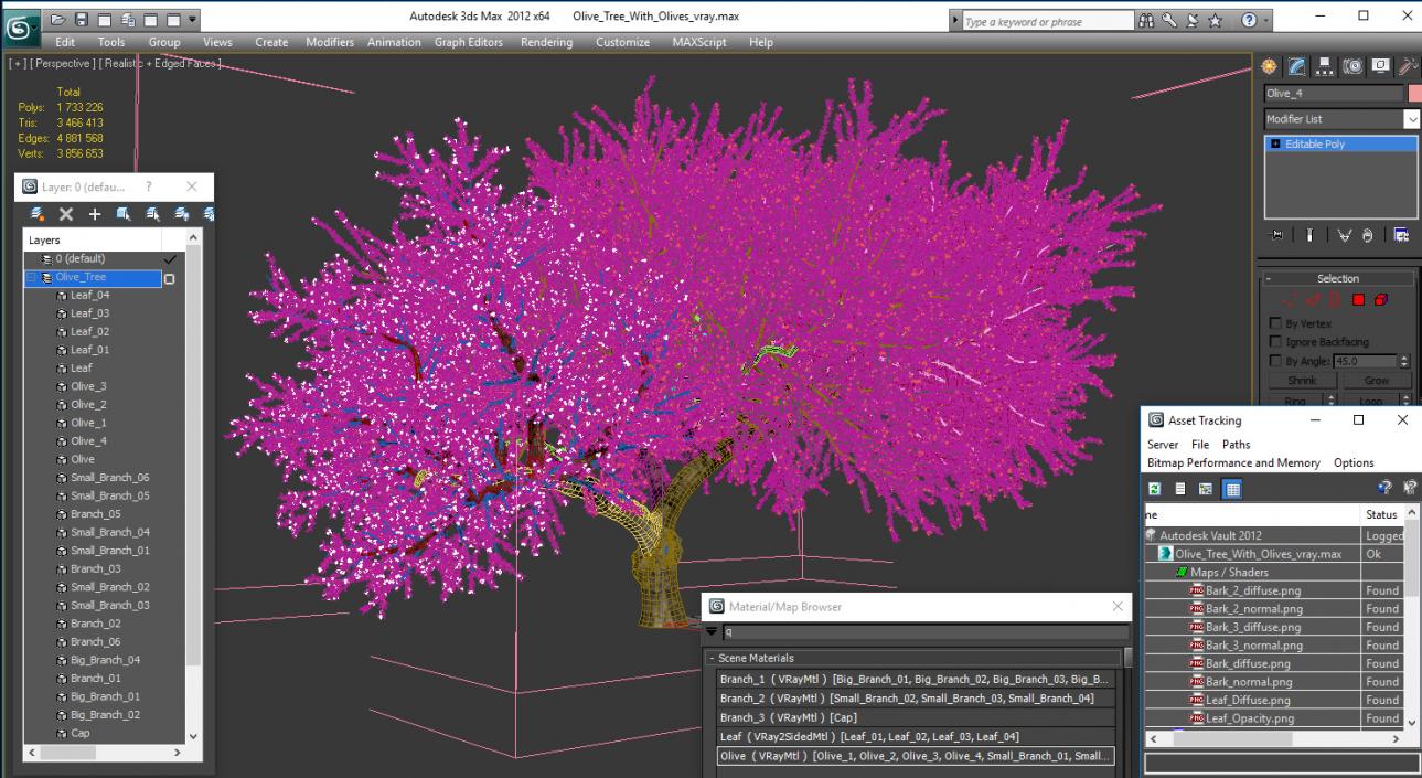 Olive Tree With Olives 3D