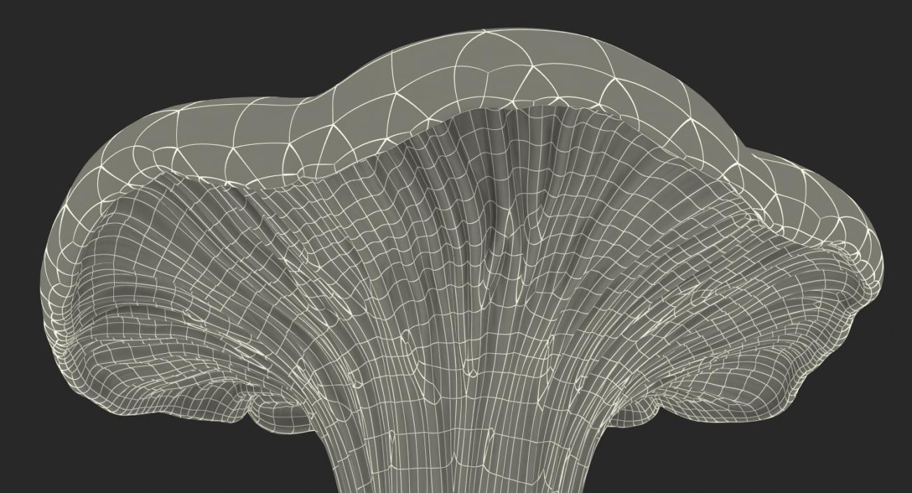 3D model Chanterelle Mushroom