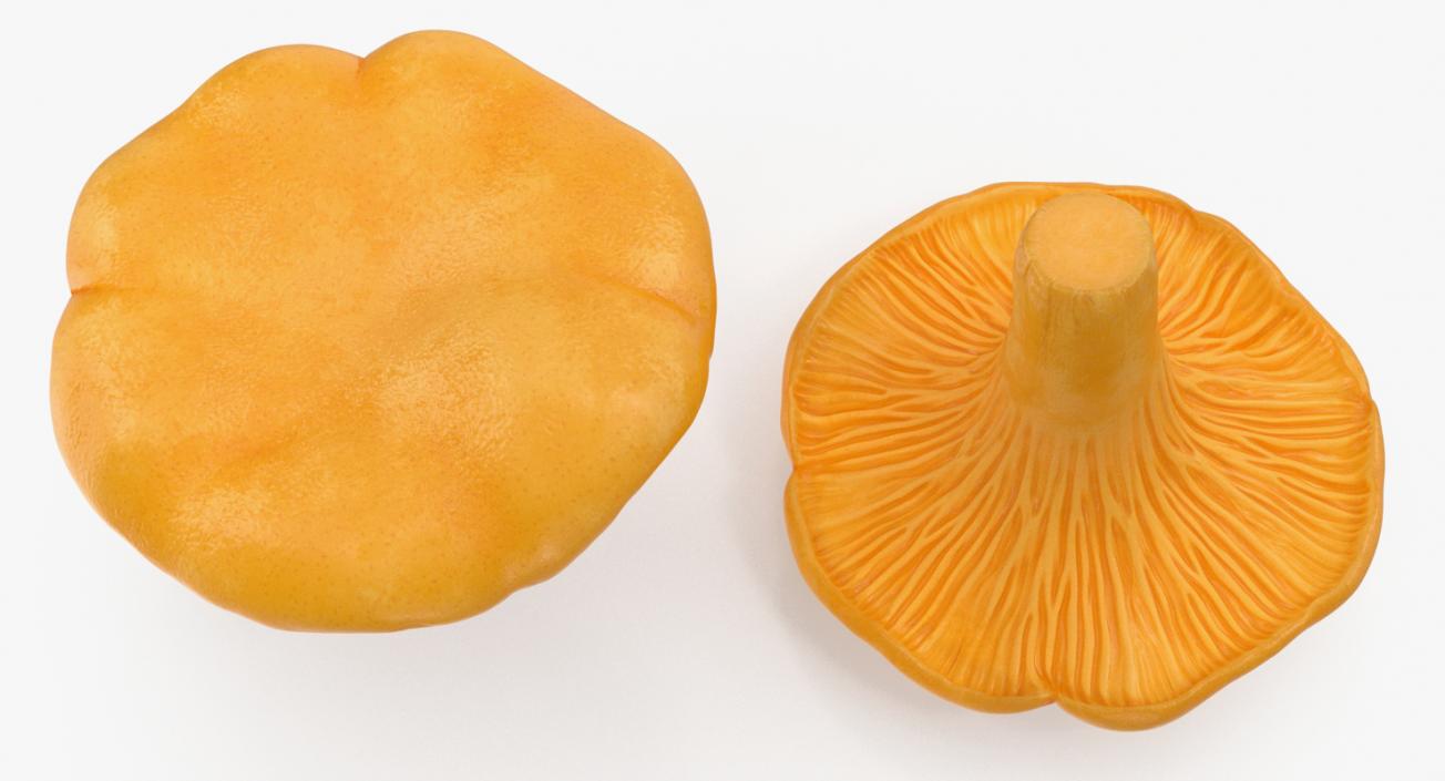 3D model Chanterelle Mushroom