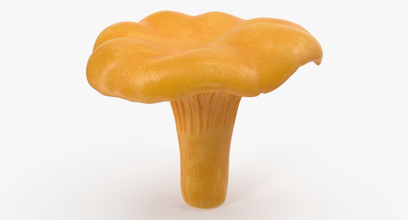 3D model Chanterelle Mushroom