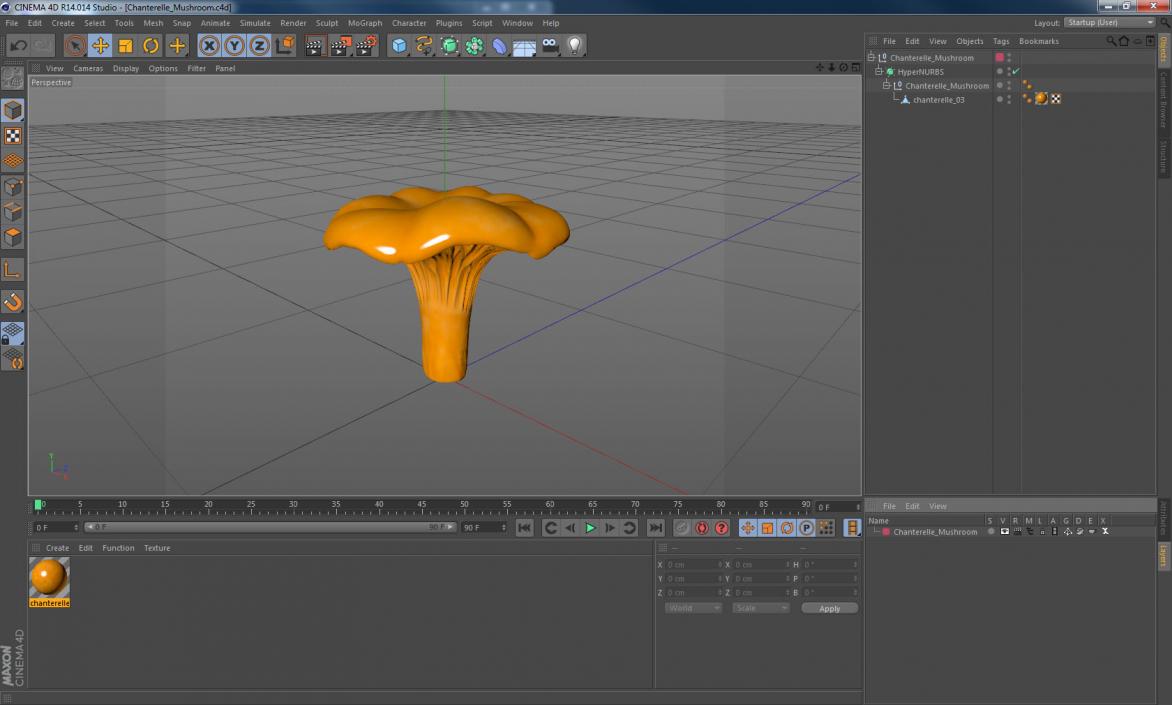 3D model Chanterelle Mushroom