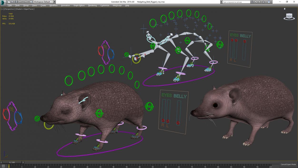 Hedgehog Bald Rigged for Maya 3D model