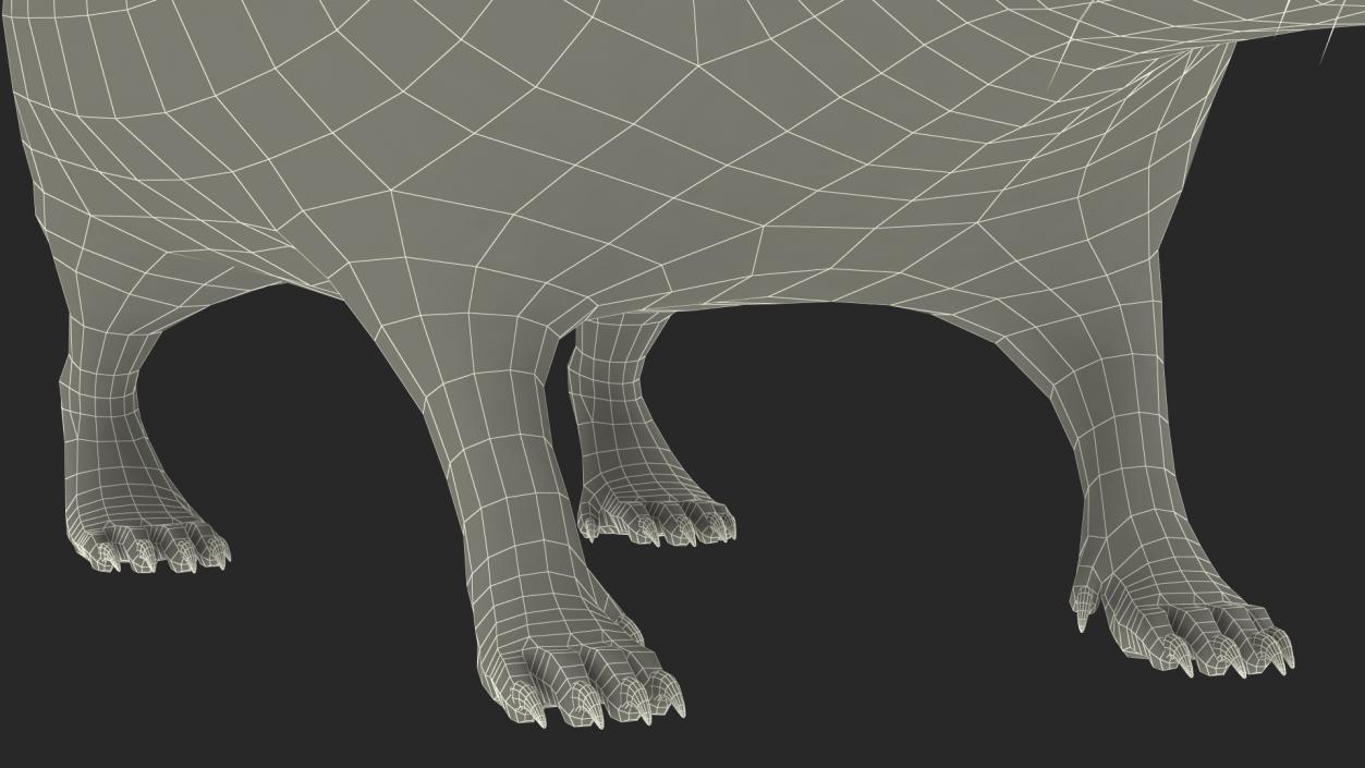 Hedgehog Bald Rigged for Maya 3D model