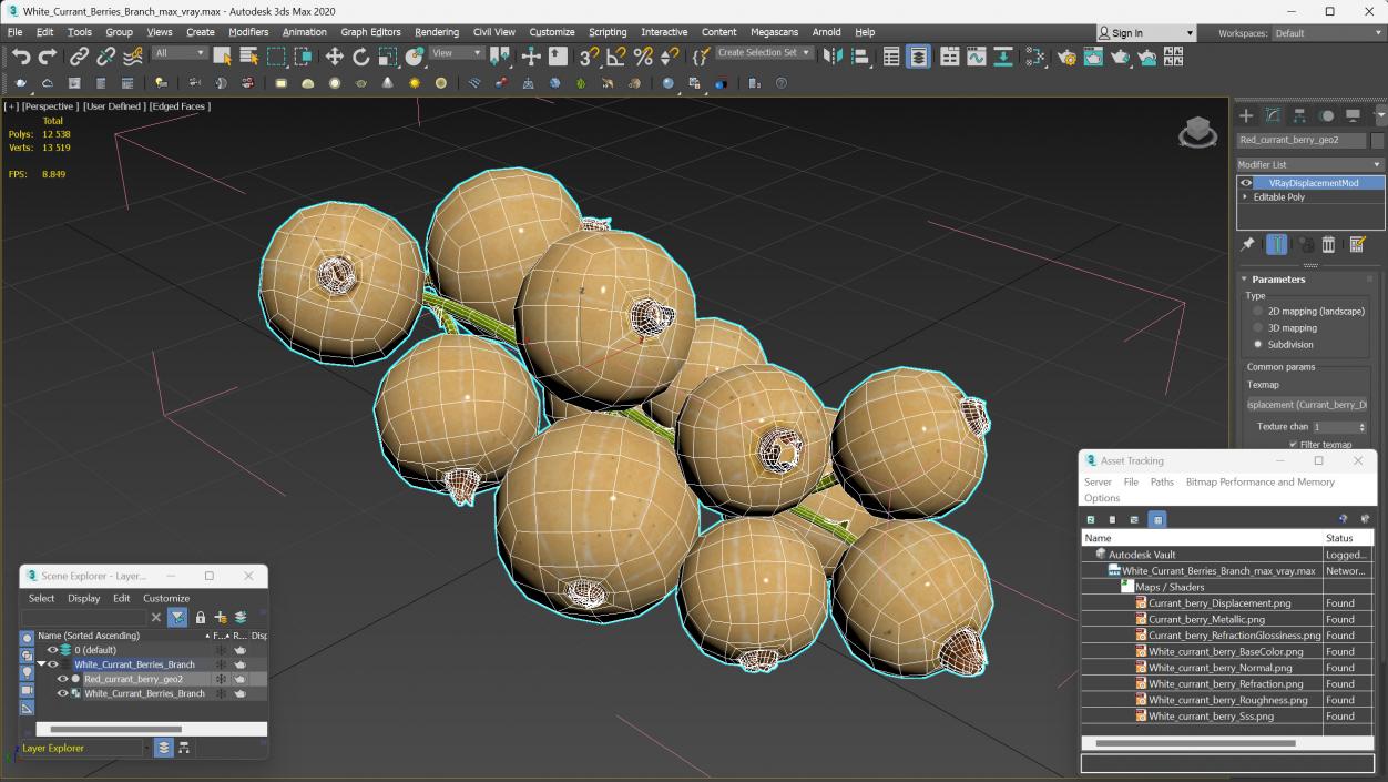 3D White Currant Berries Branch model