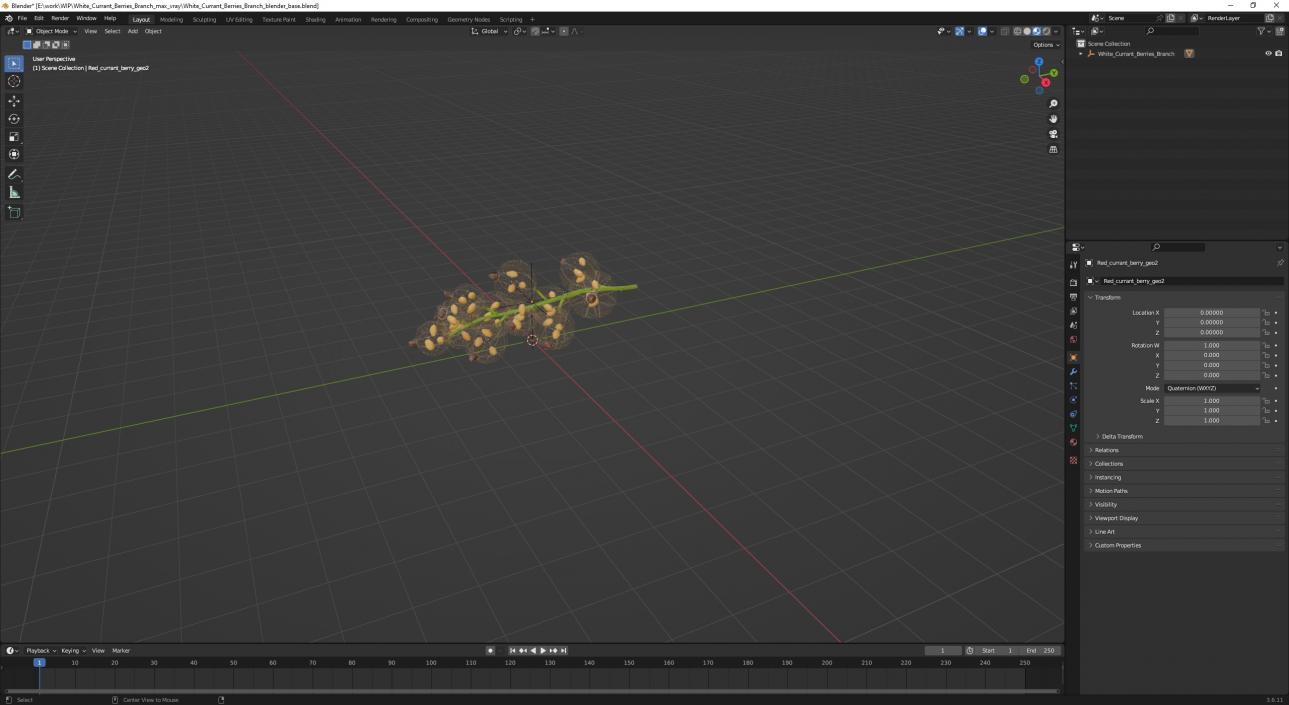 3D White Currant Berries Branch model