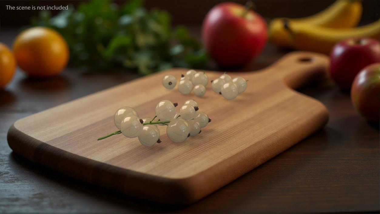 3D White Currant Berries Branch model