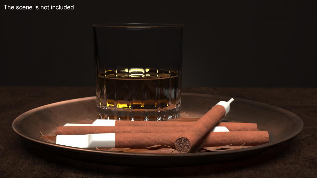 Cigarillos with Plastic Tip 3D