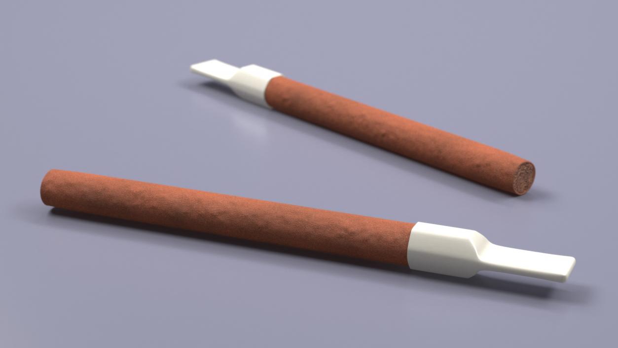 Cigarillos with Plastic Tip 3D