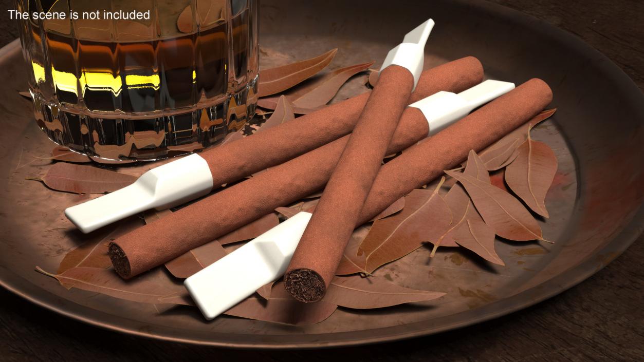 Cigarillos with Plastic Tip 3D