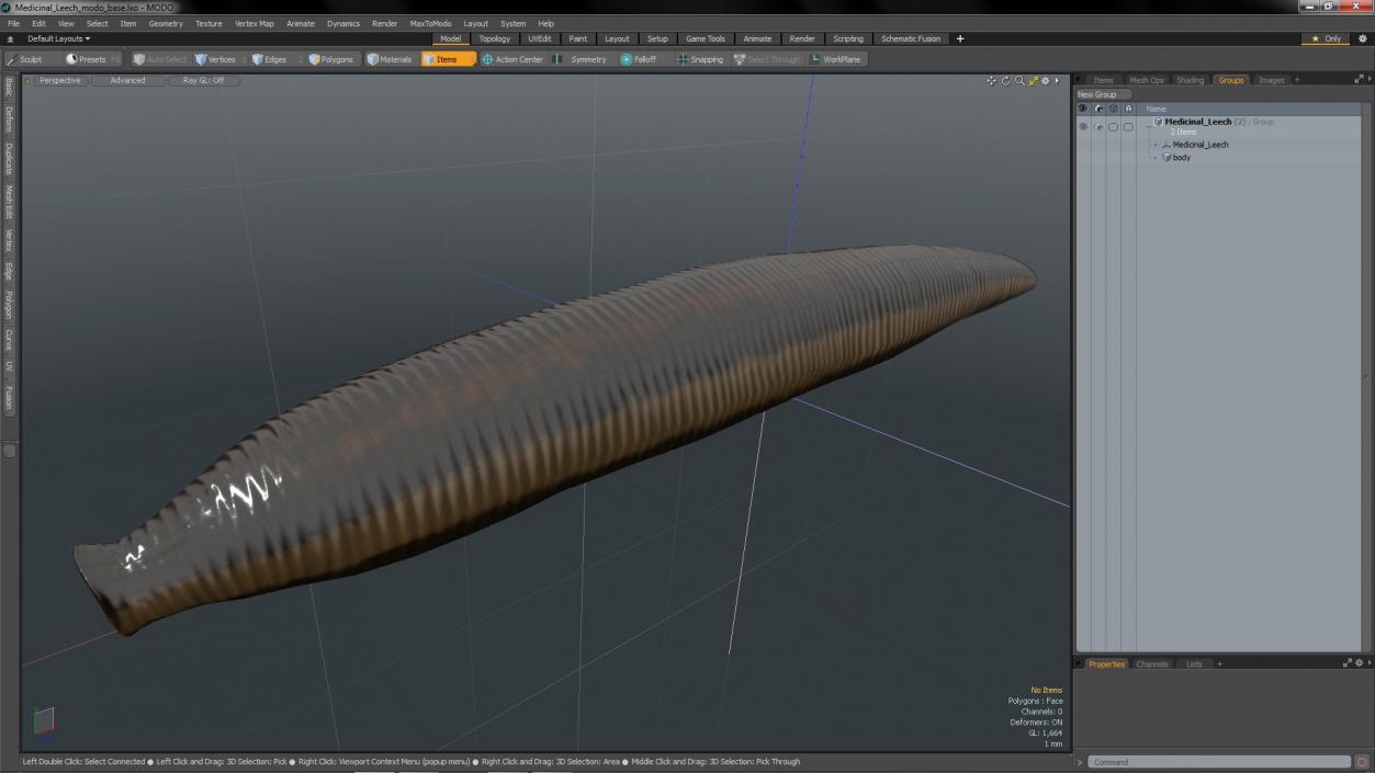 3D model Medicinal Leech