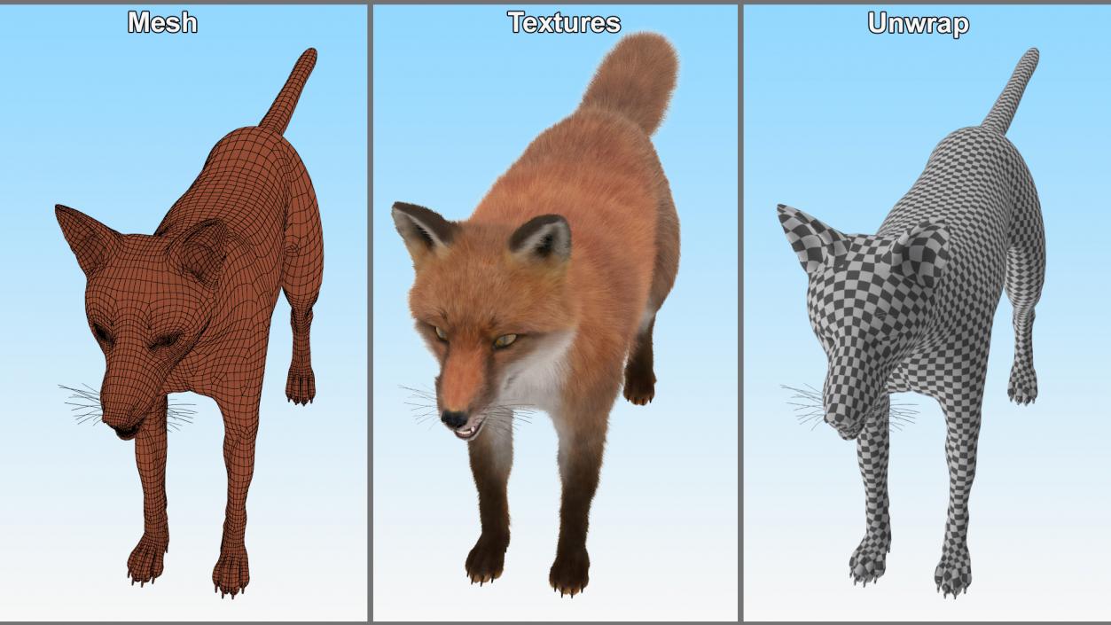 3D Red Fox Base Pose Fur