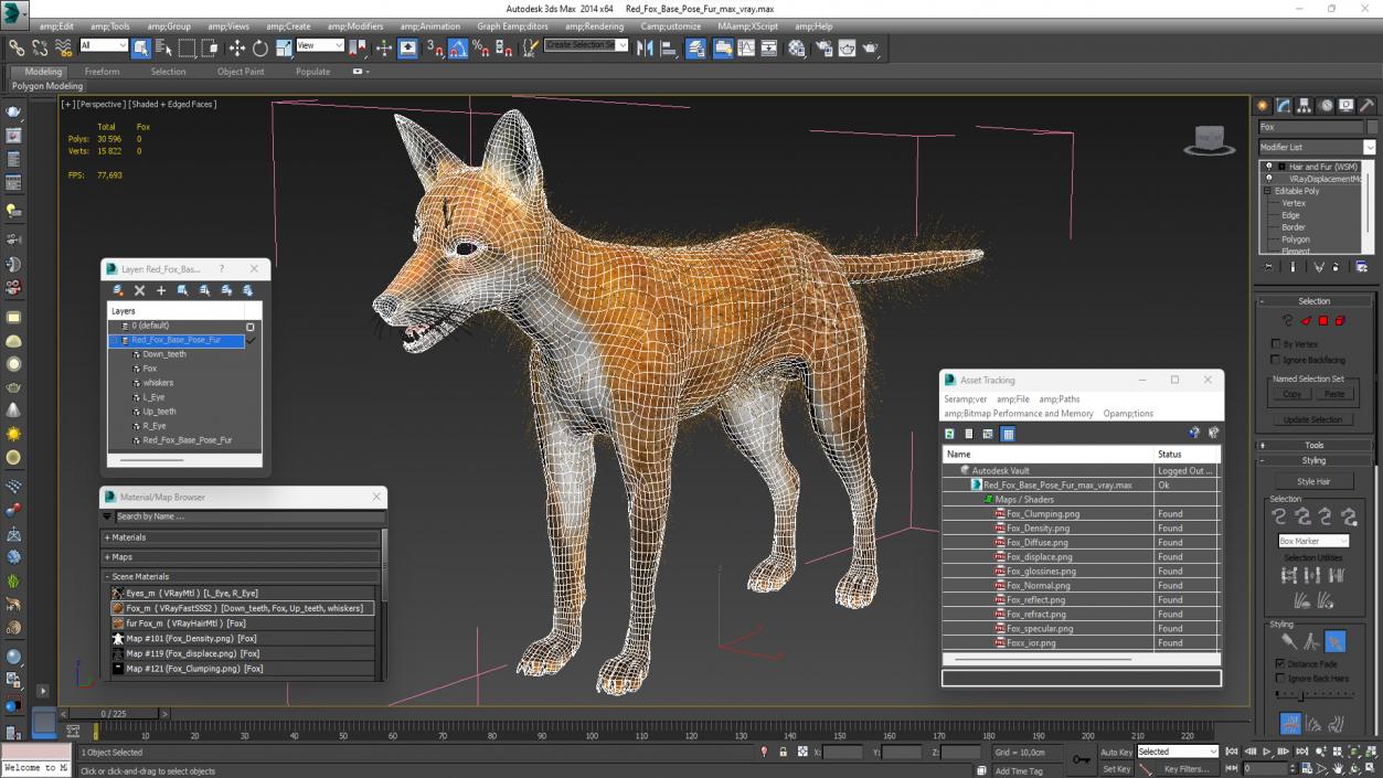 3D Red Fox Base Pose Fur