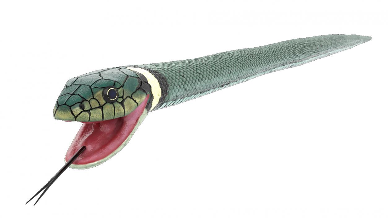 3D Eurasian Grass Snake Green 2 model