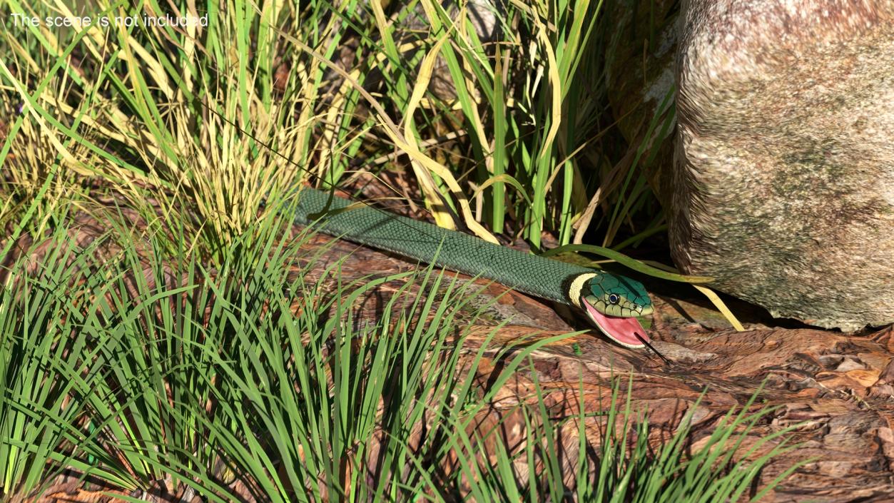 3D Eurasian Grass Snake Green 2 model