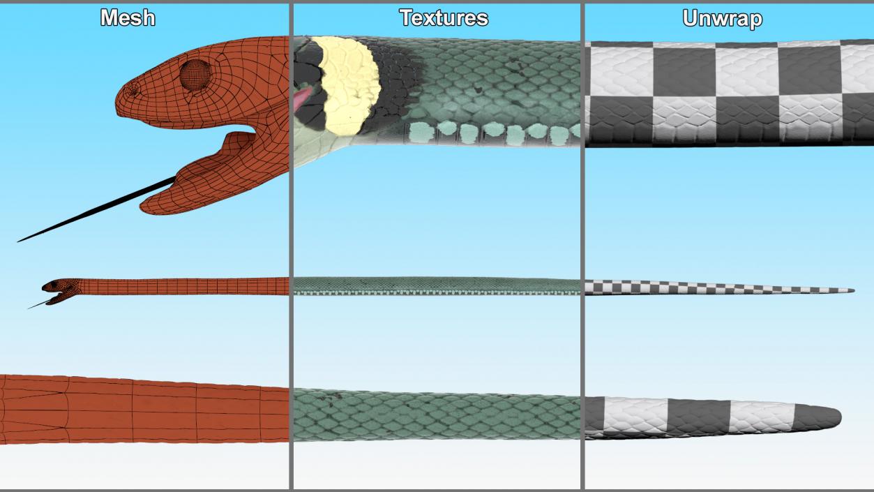 3D Eurasian Grass Snake Green 2 model