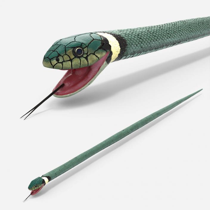 3D Eurasian Grass Snake Green 2 model