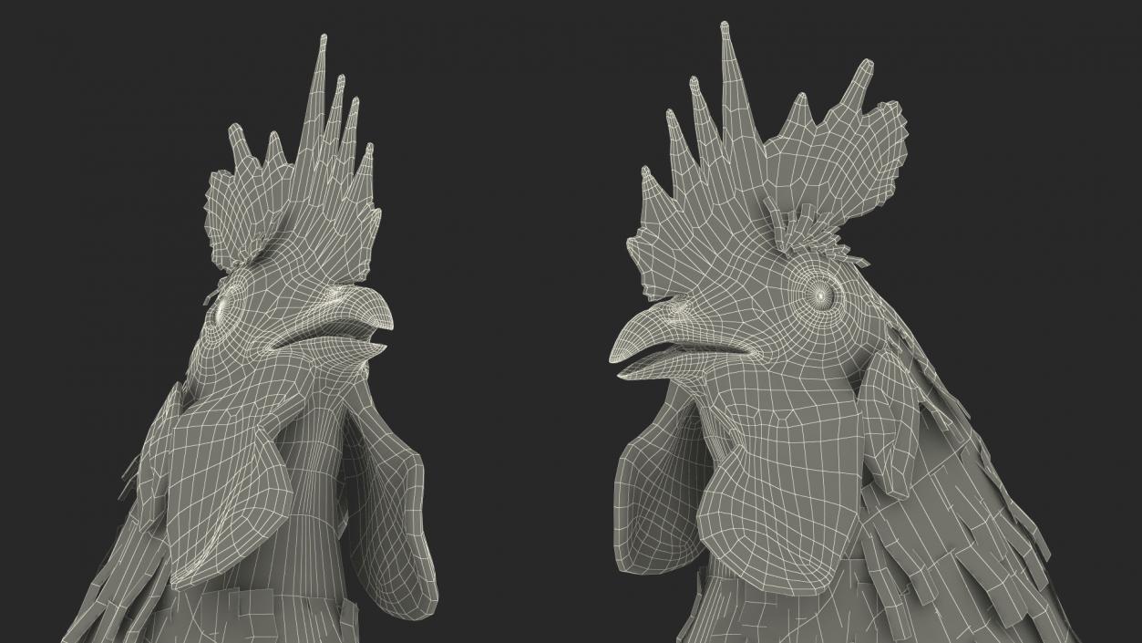 Rainbow Rooster Rigged 3D