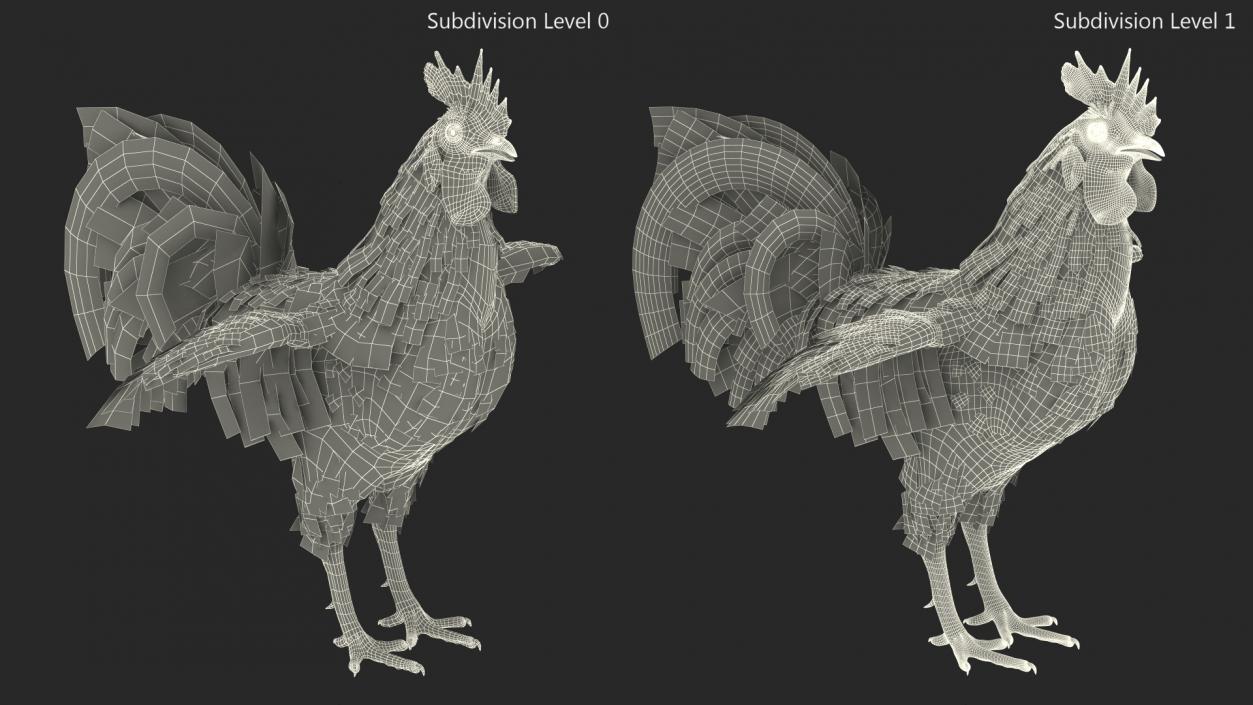 Rainbow Rooster Rigged 3D