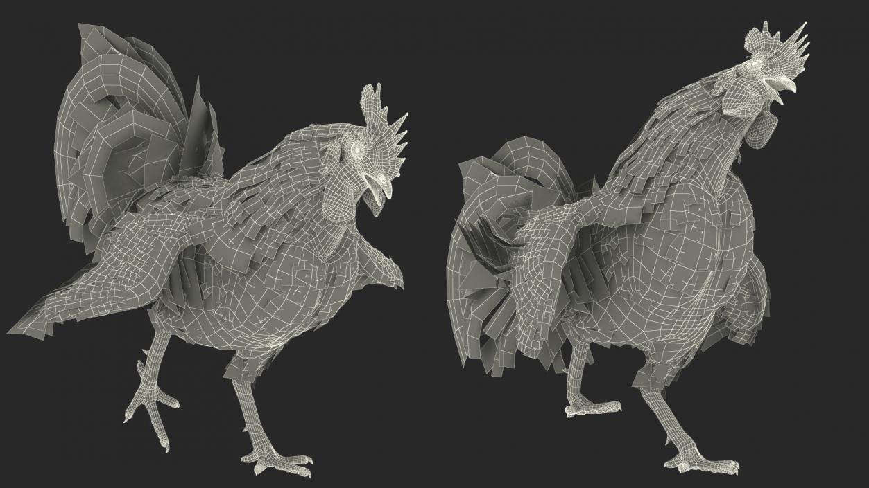 Rainbow Rooster Rigged 3D