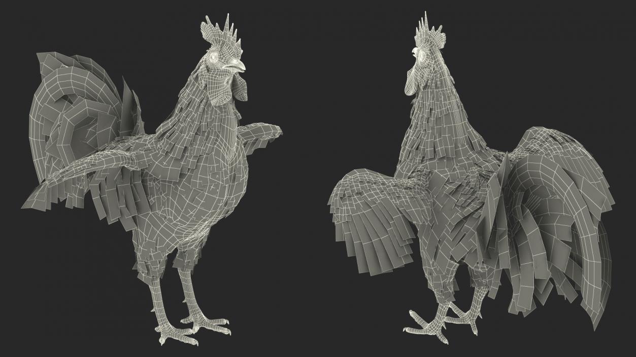 Rainbow Rooster Rigged 3D