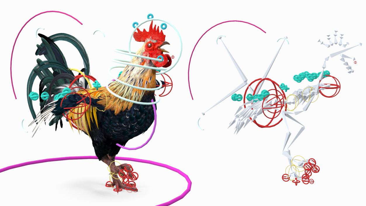 Rainbow Rooster Rigged 3D