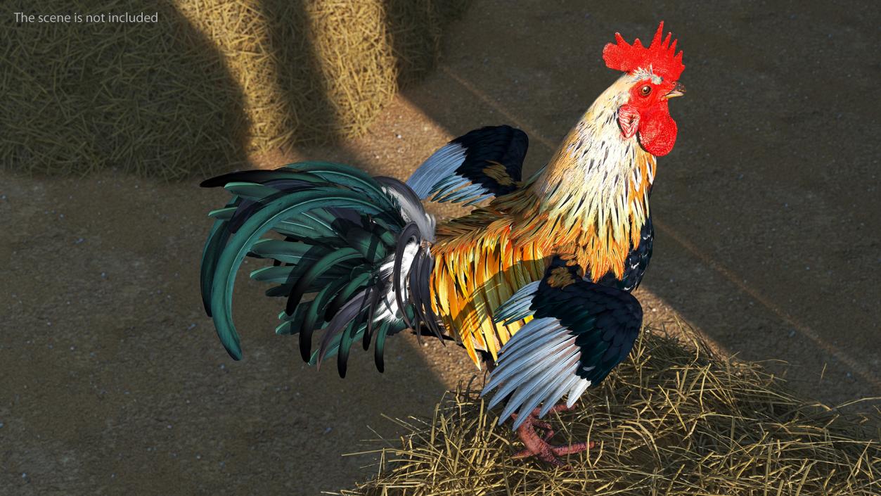 Rainbow Rooster Rigged 3D