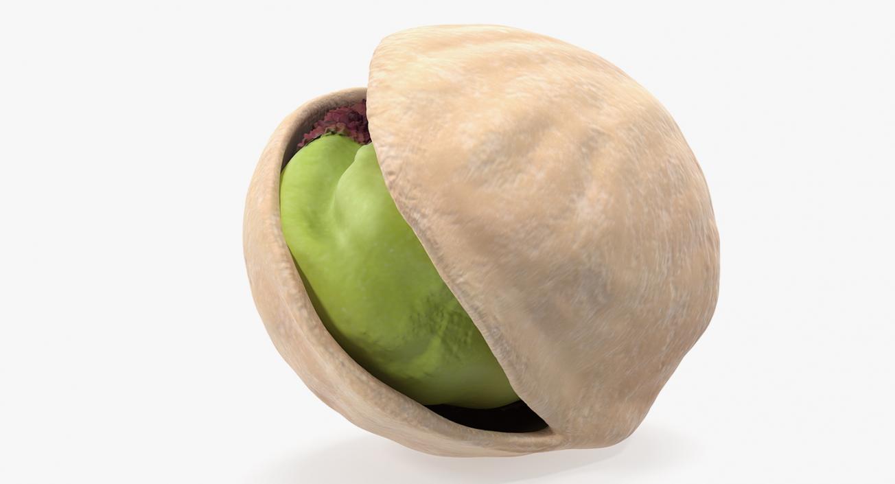 3D Opened Pistachio