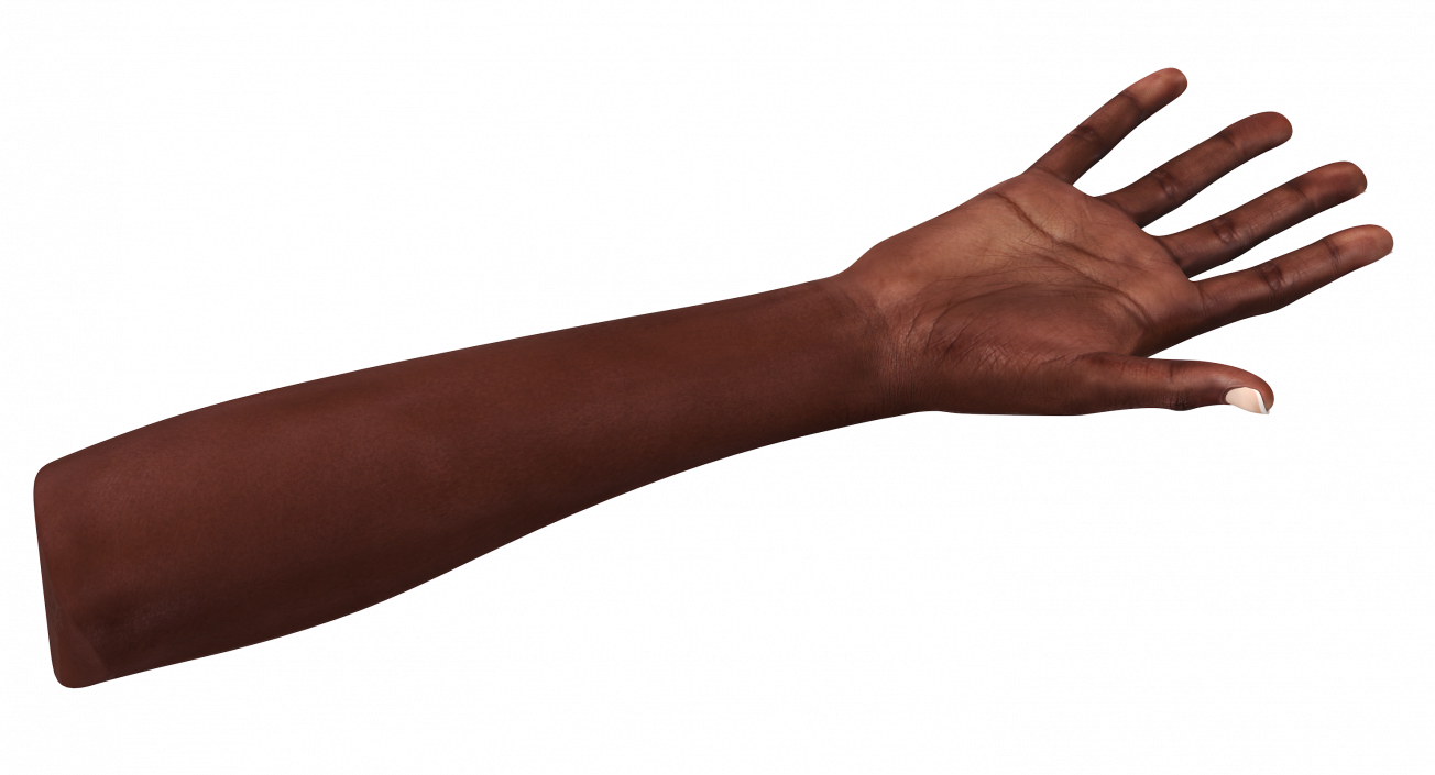 African Female Hand 3D model