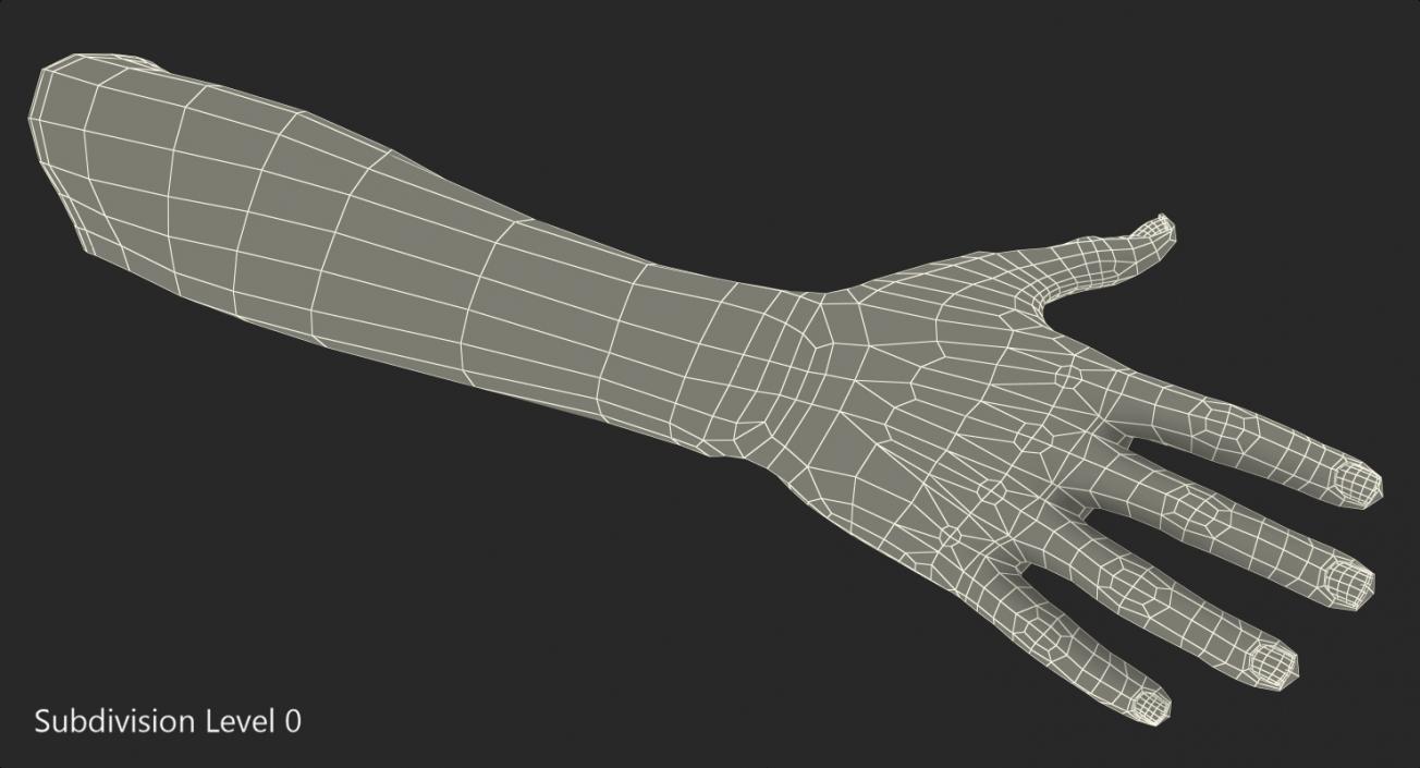 African Female Hand 3D model