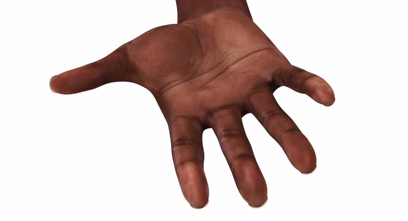 African Female Hand 3D model