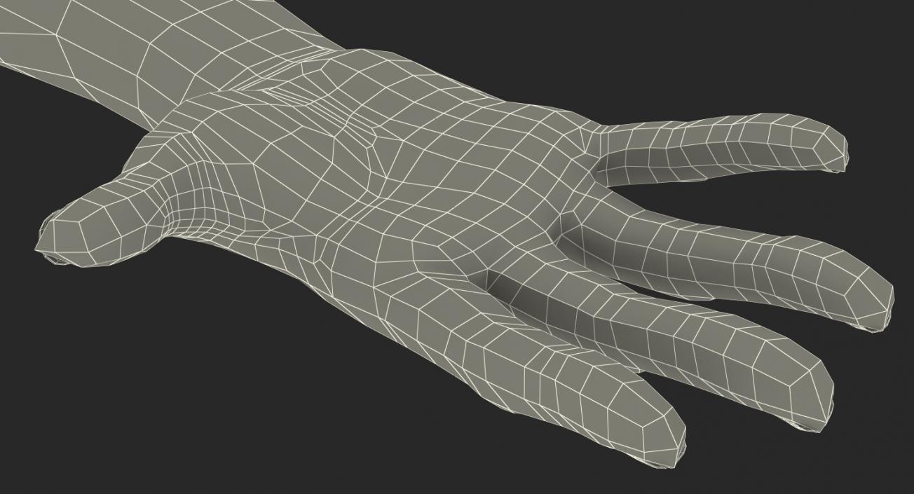 African Female Hand 3D model