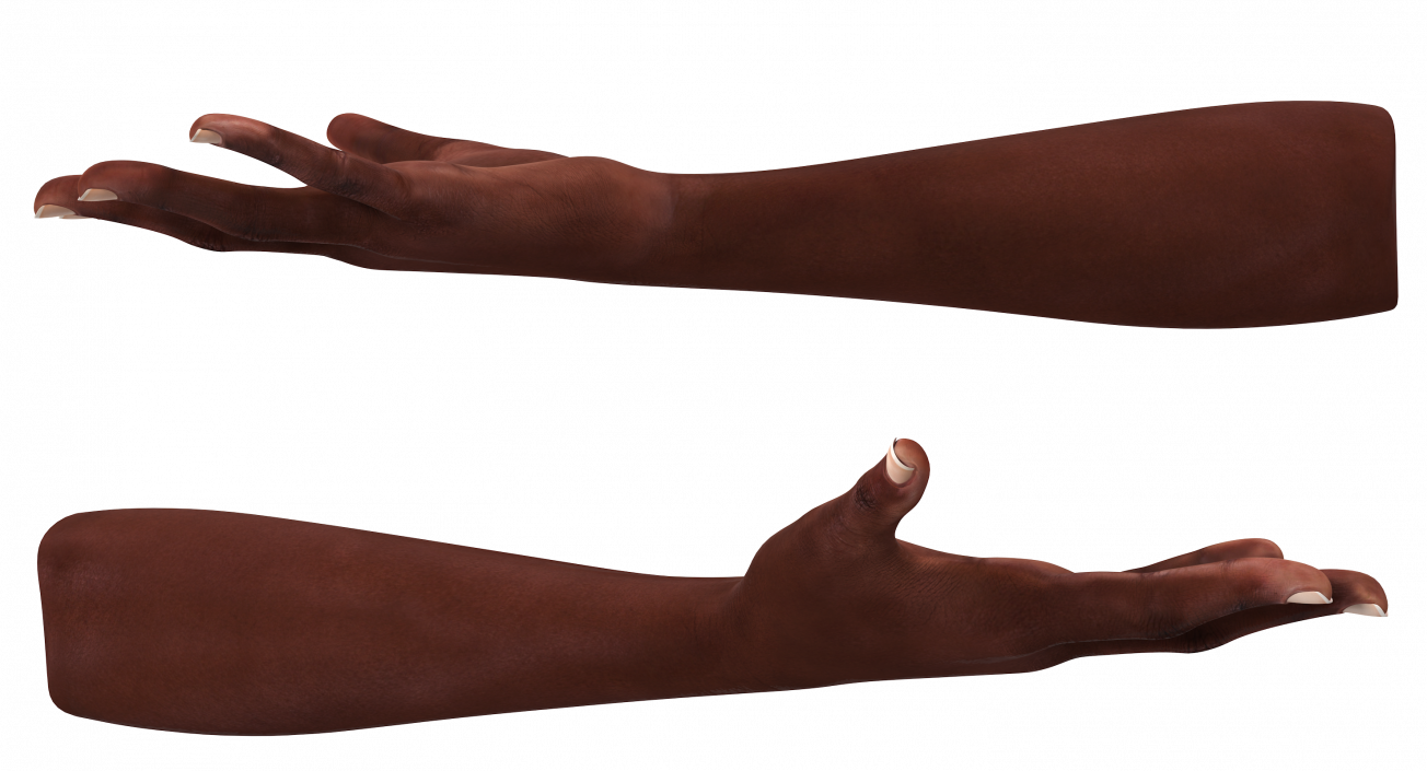 African Female Hand 3D model